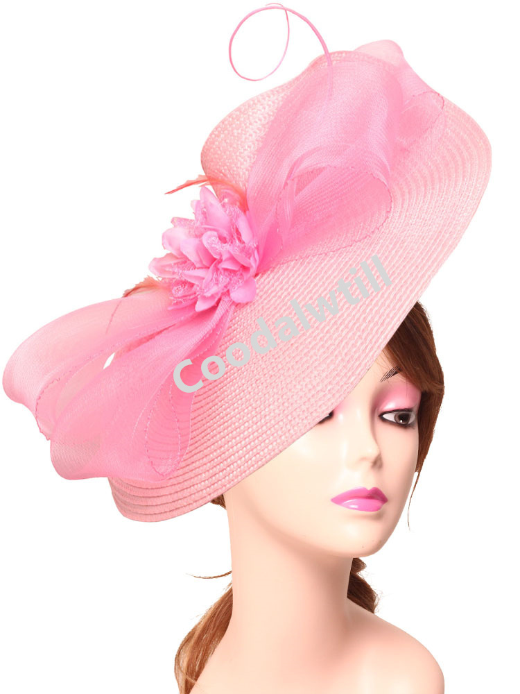 Elegant Tea Party Fascinator P - đánh giá và giá Women'S Fashion Kentucky Derby