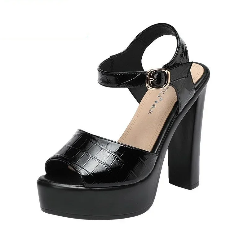 10cm 13cm Fashion Genuine Leat - đánh giá và giá Women Fashion Model