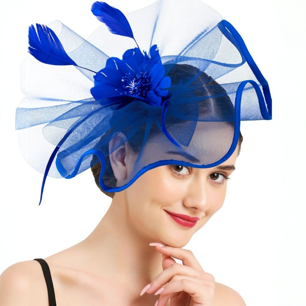 Fashion Mesh Feather Hair Acce - đánh giá và giá Women'S Fashion Kentucky Derby