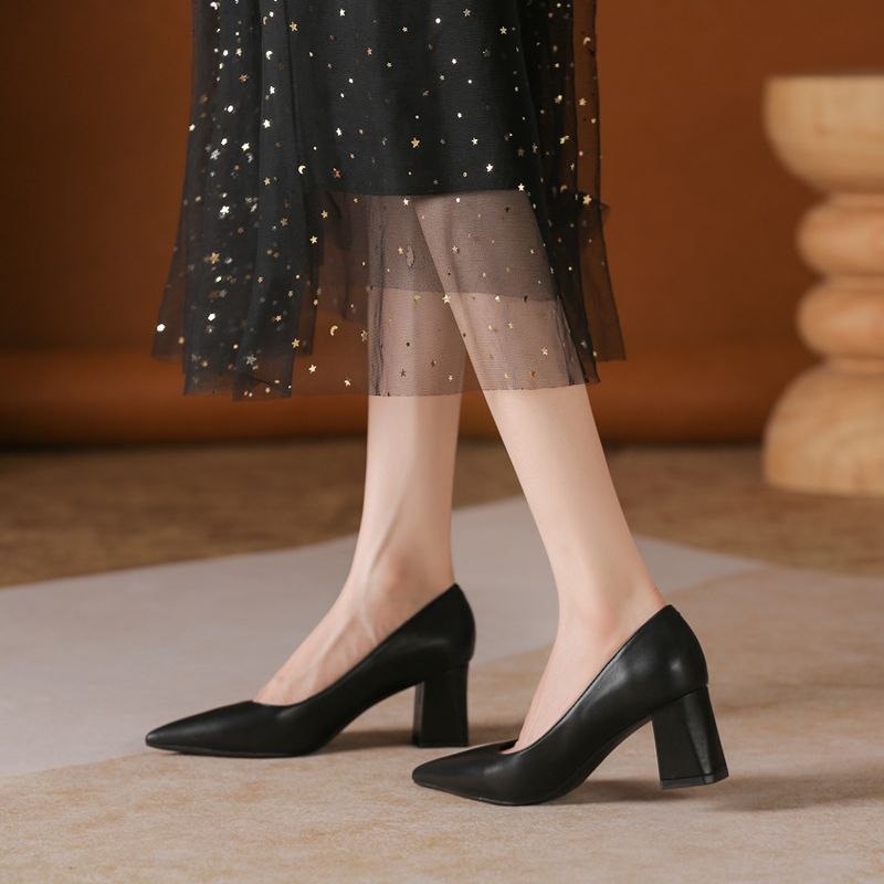 Glossy Thick Heel Pointed Head - đánh giá và giá Women Fashion Model